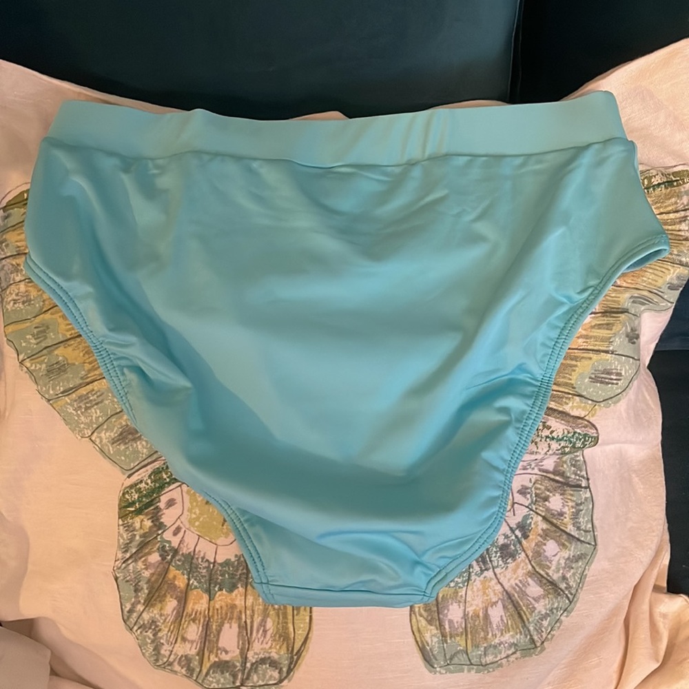 Women's Aqua High-Waist Swim Bottom - Picture 4 of 6